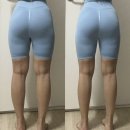 펄스라인