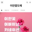 이안도매 이미지