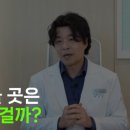 건강의 숲 이미지