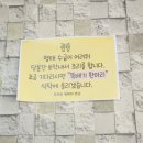 오리와생태의만남 이미지