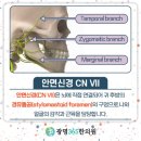 누가한의원 이미지