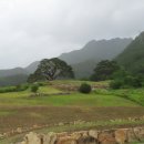 11. 태백산(장군봉 해발1567m)여름산행.2024.7.23.화.다담.날씨는 구름끼고 비오고 바람 강하게,시야와 조망은 곰탕. 이미지