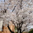 도원고등학교앞 이미지