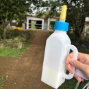 다물목장 | 휴가맞이 여자친구와 함께 제주목장카페 탐방! 아침미소목장 체험 후기