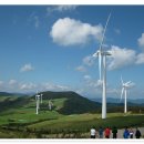 삼영목장 이미지