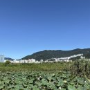 연꽃단지 화장실 이미지