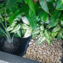 태인공인중개사사무소 이미지