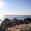 영덕수산 이미지