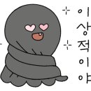 어쩌다빅 이미지
