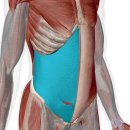 센스짐 24 인계점 이미지