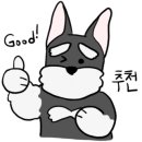 경북대학교 수의과대학 부속동물병원 이미지