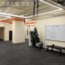 크로스핏 코알라 이미지