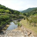 비학산자연휴양림 이미지