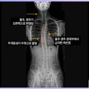 올리본의원 이미지