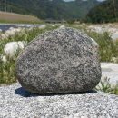 상남초등학교(정문) 이미지