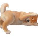 구정 초등학교 병설유치원 이미지