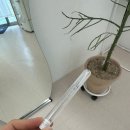 &lt; 전주 서신동 노글루 블랙틴팅펌 : 셀라뷰티 &gt; 예민한 피부를 가져서 속눈썹펌 망설이고 있다면 노글루...