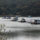 어우실낚시터 이미지