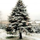 효령로 59-7 이미지