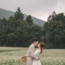내돈내산 제주도 웨딩스냅 : 제주도 웨딩촬영 에이프릴텐 리얼후기