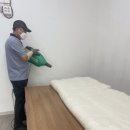화성이불 이미지