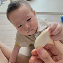 땡크 | 돌아기 간식 추천 🍚 리땡크 촘촘한 톨 유기농 백미떡뻥 후기