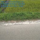 웅양면 오산경로당 이미지