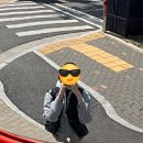 사랑 가득 사월