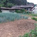 행복한전원공인중개사사무소 이미지