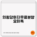 일산요미독강아지분양