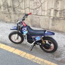 야마하저스트