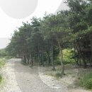 도원1리 이미지