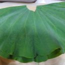 가평군 농업기술센터 | 가평클린농업대학 제19기 농식품학과 연잎차 연꽃차 만들기 수업하는날