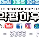 뽀뽀애견 이미지