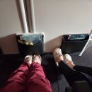 (주)세진에코 | 에티하드 항공 / 인천 - 아부다비 - 취리히 EY823 EY143 EY142 EY826 / 기종 배열 좌석 기내식 아부다비...