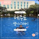 성산스테이 | 제주성산숙소 추천! 벵가스테이 가성비숙소 내돈내산 솔직 후기