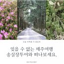 친절한송실장투어(힐링앤제주) 이미지