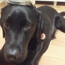 기다리다 이미지