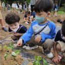 🌿선행반 5월 4주 놀이 이야기🌿 이미지