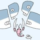 고래와새우