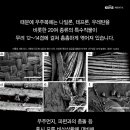 퍼스트과학 이미지