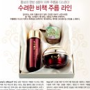 주름비책