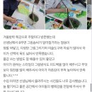 아네뜨미술학원 | 학교수업에 필요한 미술스킬만 뽑아서 가르치는 특강 없나요?