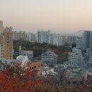 금호랜드공인중개사사무소 이미지