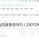 [I WANT IT] 음원 다운로드 이벤트 참여 / 심자윤똥강아지 이미지