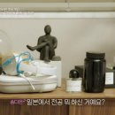 시그널패션 이미지