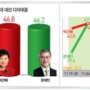 박*자 이미지