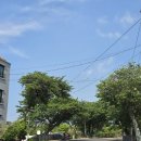 올목, jeju 이미지