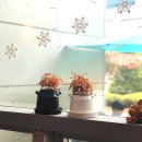 #가산디지털단지 카페 COFFEE LYN : 커피린, 리뷰n후기