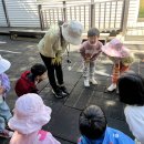 도토리 선생님과 와우공원의 애벌레 친구들을 만났어요! 이미지